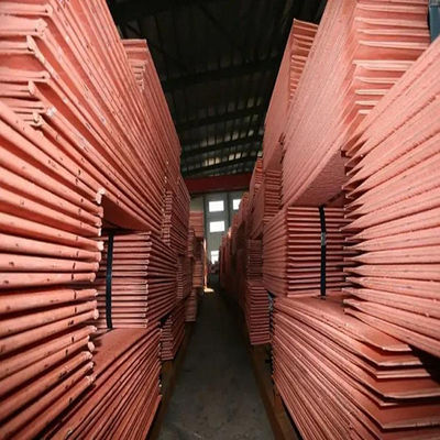 El cobre de JIS ASTM B152M Copper Plate Sheet plateó la chapa 2500m m