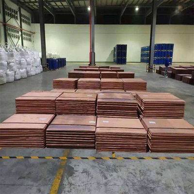 Brillo 99,99 de pureza Placa de cobre C11000 C17200 C12200 C17500 C10200